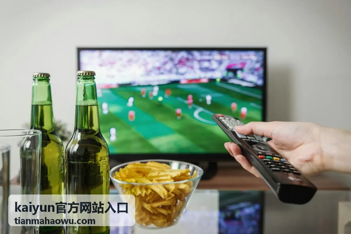 kaiyun官方网站入口通道状态与公告配图